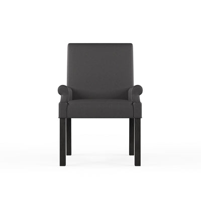 Abigail Dining Chair - Graphite Plush Velvet